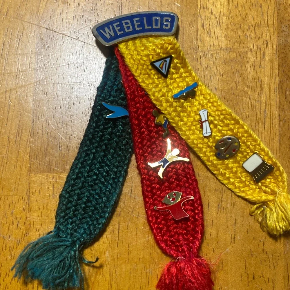 BSA Webelos Activity Badge Colors Tassels Vintage Pins Set